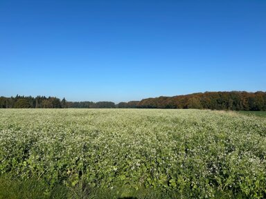 Land-/Forstwirtschaft zum Kauf 37.589 m² Grundstück Bassum Bassum 27211