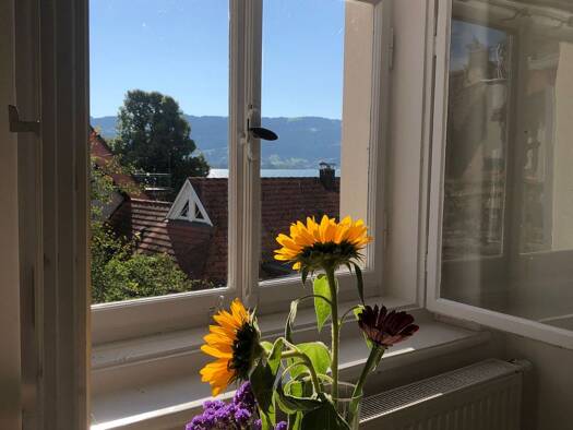 Wohnung zur Miete 1.250 € 3,5 Zimmer 115 m² Geschoss 3/5 frei ab sofort Insel Lindau (Bodensee) 88131