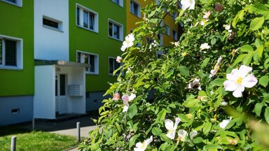 Wohnung zur Miete 390 € 3 Zimmer 60,9 m² 2. Geschoss Ludwig-Herzfeld-Straße 4 Silberhöhe Halle (Saale) 06132