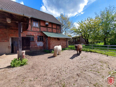 Reiterhof zum Kauf 339.900 € 6.584 m² Grundstück Hemeln Hannoversch Münden / Hemeln 34346