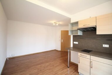 Apartment zur Miete 174 € 1 Zimmer 29 m² 2. Geschoss Reichenhainer Str. 73 Bernsdorf 423 Chemnitz 09126