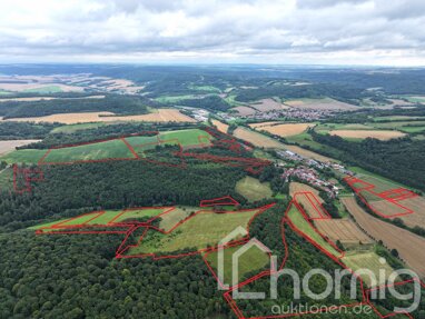 Land-/Forstwirtschaft zum Kauf 399.000 € 793.852 m² Grundstück Großtöpfer Geismar / Großtöpfer 37308