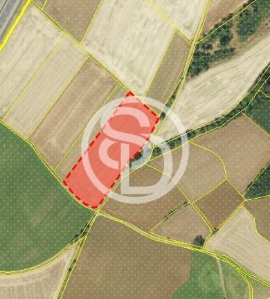 Land-/Forstwirtschaft zum Kauf 72.500 € 12.260 m² Grundstück Berg Berg 95180