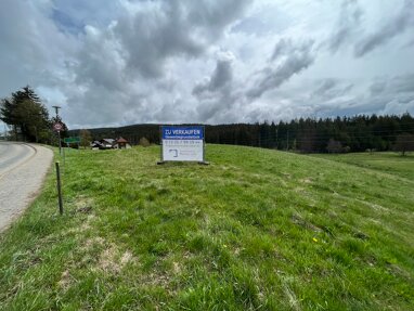 Gewerbegrundstück zum Kauf 9.192 m² Grundstück Altglashütten Feldberg 79868