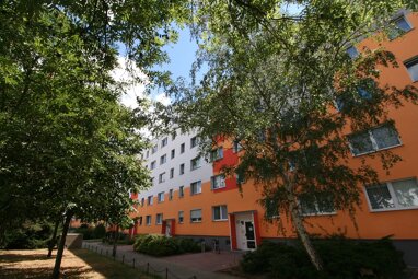 Wohnung zur Miete 344 € 3 Zimmer 57,3 m² Erdgeschoss Straße der Völkerfreundschaft 119 Friedrichstadt Lutherstadt Wittenberg 06886