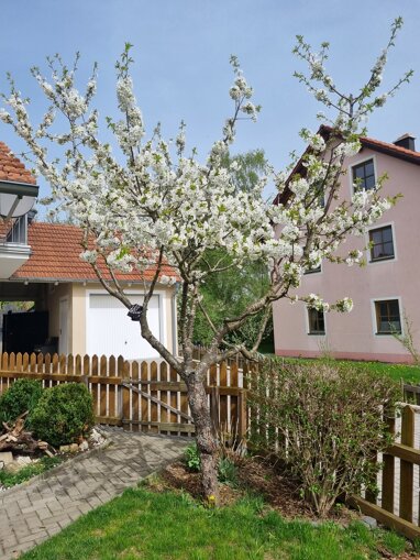 Mehrfamilienhaus zur Miete 900 € 5 Zimmer 170 m² 120 m² Grundstück Kastanienweg Zell Zell 93199