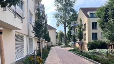 Wohnung zur Miete 700 € 2 Zimmer 69 m² Jahnstraße 2a Torgau Dreiheide 04860