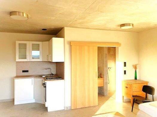 Studio zur Miete 400 € 1 Zimmer 33,5 m² frei ab 01.11.2025 Dorftraße Börwang Haldenwang , Allgäu 87490