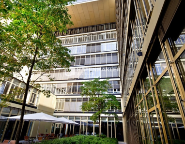 Büro-/Praxisfläche zur Miete Provisionsfrei 1.251 m² Bürofläche Neustadt Hamburg 20355