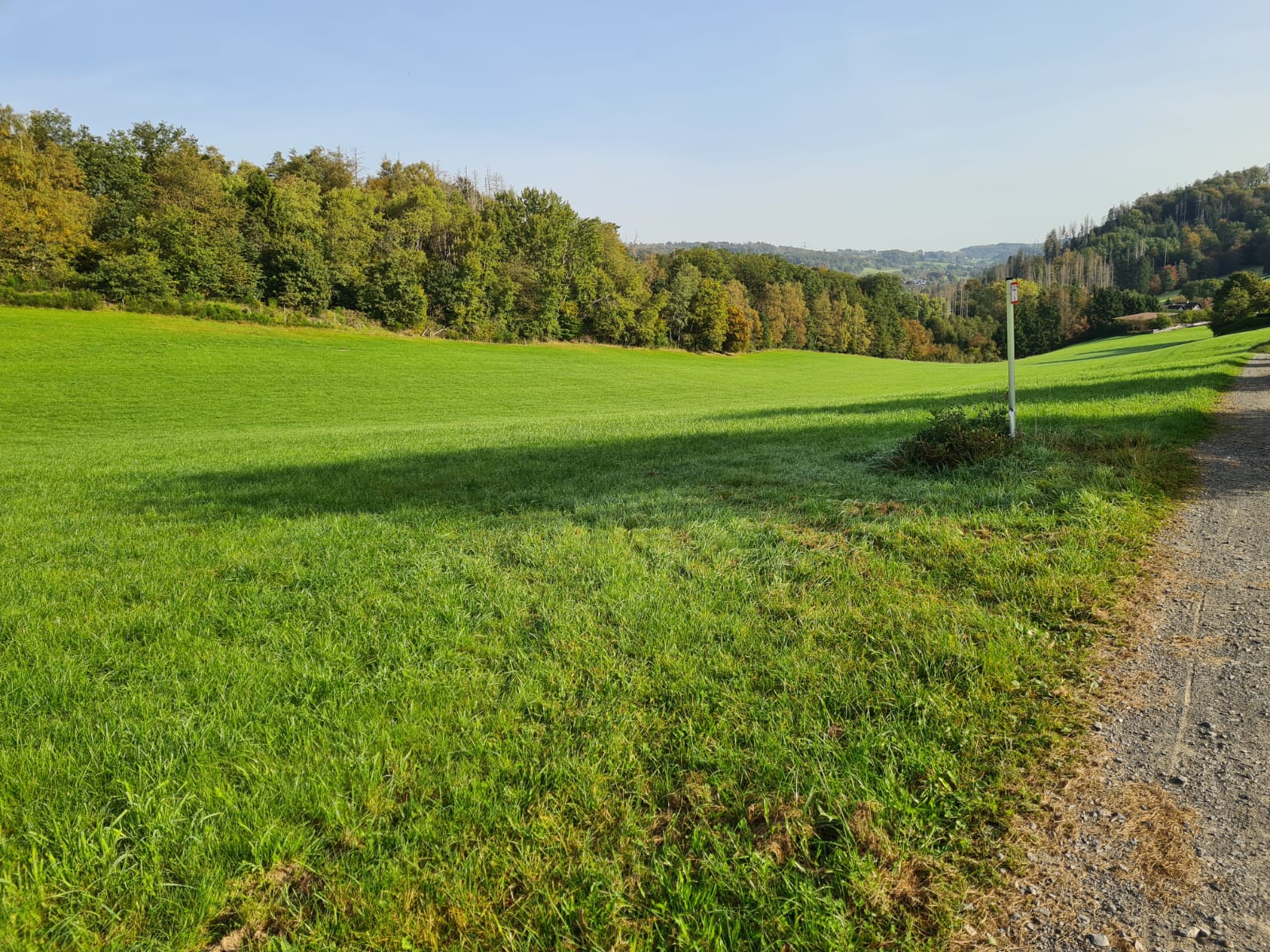 Landwirtschaftliche Fläche zum Kauf 49.000 € 8.330 m² 8.330 m² Grundstück Hahn Engelskirchen 51766