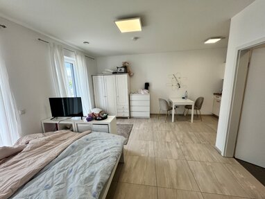 Apartment zur Miete 400 € 1 Zimmer 26 m² Erdgeschoss Eurener Str. 36 Trier-West 4 Trier 54294