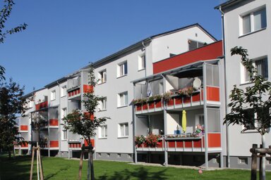 Wohnung zur Miete 246 € 1 Zimmer 32,8 m² 2. Geschoss frei ab 01.03.2025 H.-Beimler-Ring 12 Altdöbern Altdöbern 03229