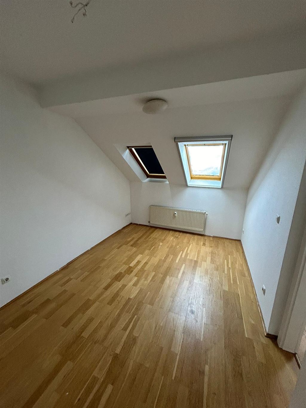 Wohnung zur Miete 260 € 3 Zimmer 59 m²<br/>Wohnfläche 4.<br/>Geschoss ab sofort<br/>Verfügbarkeit Dorotheenstraße 8 Schloßchemnitz 024 Chemnitz 09113