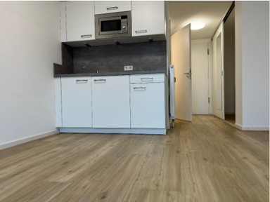 Wohnung zur Miete 342 € 1 Zimmer 25,4 m² 1. Geschoss frei ab 16.03.2025 Kopernikusstraße 7B Nordstadt Hannover 30167