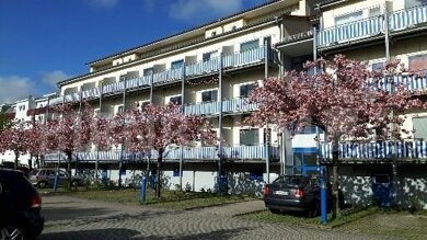 Wohnung zur Miete 256 € 1 Zimmer 24,5 m² EG frei ab sofort Soldmannstraße 22 Fettenvorstadt Greifswald 17489