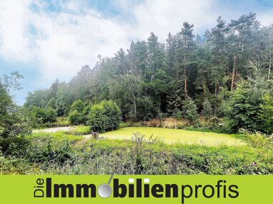 Grundstück zum Kauf 55.000 € 8.290 m² Grundstück Hohenmühle Thierstein 95199