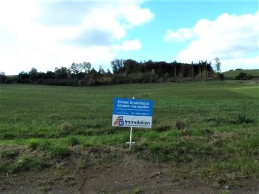 Grundstück zum Kauf 34.245 € 761 m² Grundstück Steffeln 54597