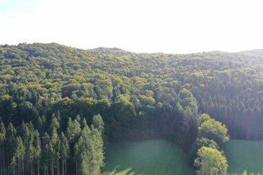 Land-/Forstwirtschaft zum Kauf 95.000 € 24.910 m² Grundstück Dietershofen Kirchensittenbach / Algersdorf 91241