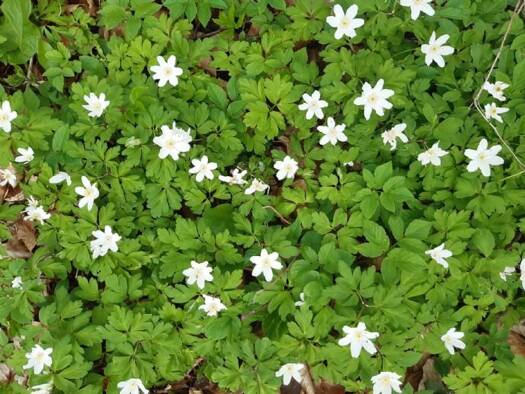 Wohnung zur Miete 3 Zimmer 120 m² Münsing 82541