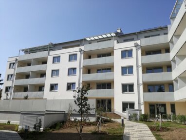 Wohnung zur Miete 530,31 € 2 Zimmer 59,1 m² Mistelbach 2130