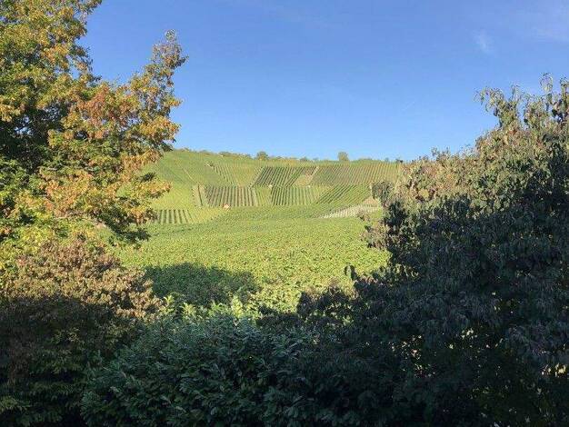 Maisonette zur Miete 1.840 € 5 Zimmer 136 m² 2. Geschoss frei ab 01.02.2026 Großheppach Weinstadt 71384