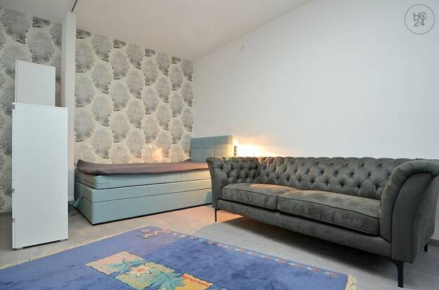 Wohnung zur Miete Wohnen auf Zeit 945 € 1 Zimmer 30 m² frei ab 01.09.2025 Bärenschanze Nürnberg 90429