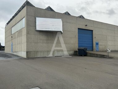 Halle/Industriefläche zur Miete 2.300 m² Lagerfläche teilbar ab 2.300 m² Rath Nörvenich 52388