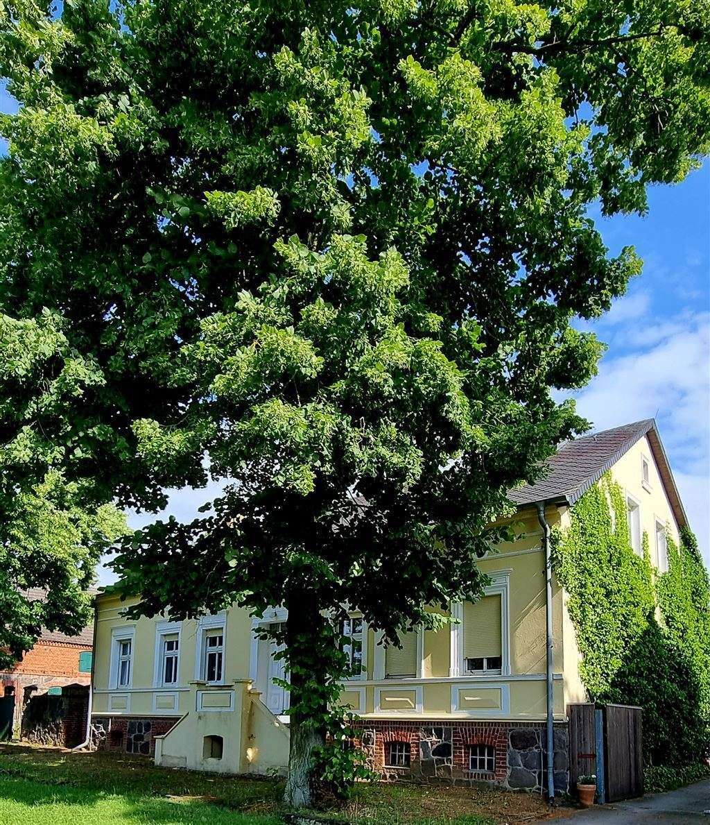 Haus zum Kauf 590.000 € 9 Zimmer 220 m² 17.000 m² Grundstück Rönnebecker Strasse 26 Rönnebeck Sonnenberg 16775