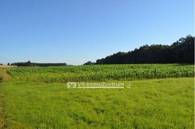 Land-/Forstwirtschaft zum Kauf 120.000 € 13.182 m² Grundstück Beuerbach Beuerbach 86947