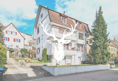 Mehrfamilienhaus zum Kauf 569.000 € 8,5 Zimmer 285 m² 567 m² Grundstück Waldshut Waldshut-Tiengen 79761