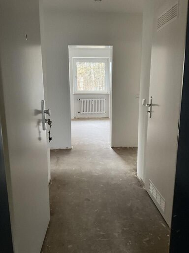 Wohnung zur Miete 448 € 3 Zimmer 64 m² EG Stormstraße 33 Geisweid Siegen 57078