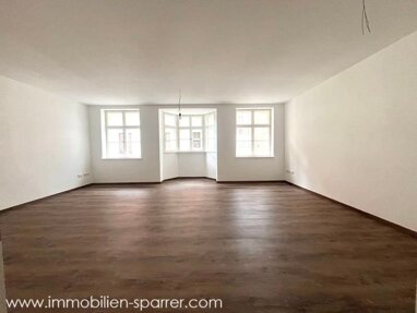 Wohnung zur Miete 1.490 € 2 Zimmer 109 m² Altstadt Weiden in der Oberpfalz 92637