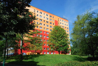 Wohnung zur Miete 239 € 1 Zimmer 36,1 m² 9. Geschoss Faleska-Meinig-Str. 4 Markersdorf 621 Chemnitz 09122