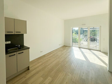 Wohnung zur Miete 530 € 1 Zimmer 30,5 m² 1. Geschoss frei ab sofort Thumenberger Weg 29 St. Jobst Nürnberg 90491