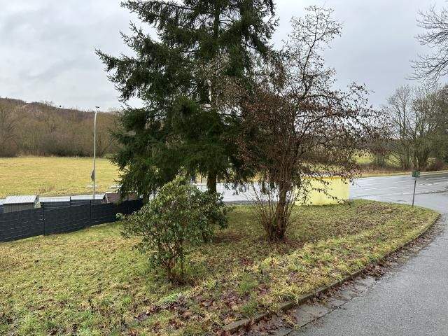 Neudöhlau - kleine Freizeitfläche mit zusätzlichen Grundstück (Wald- o. Ausgleichsfläche)