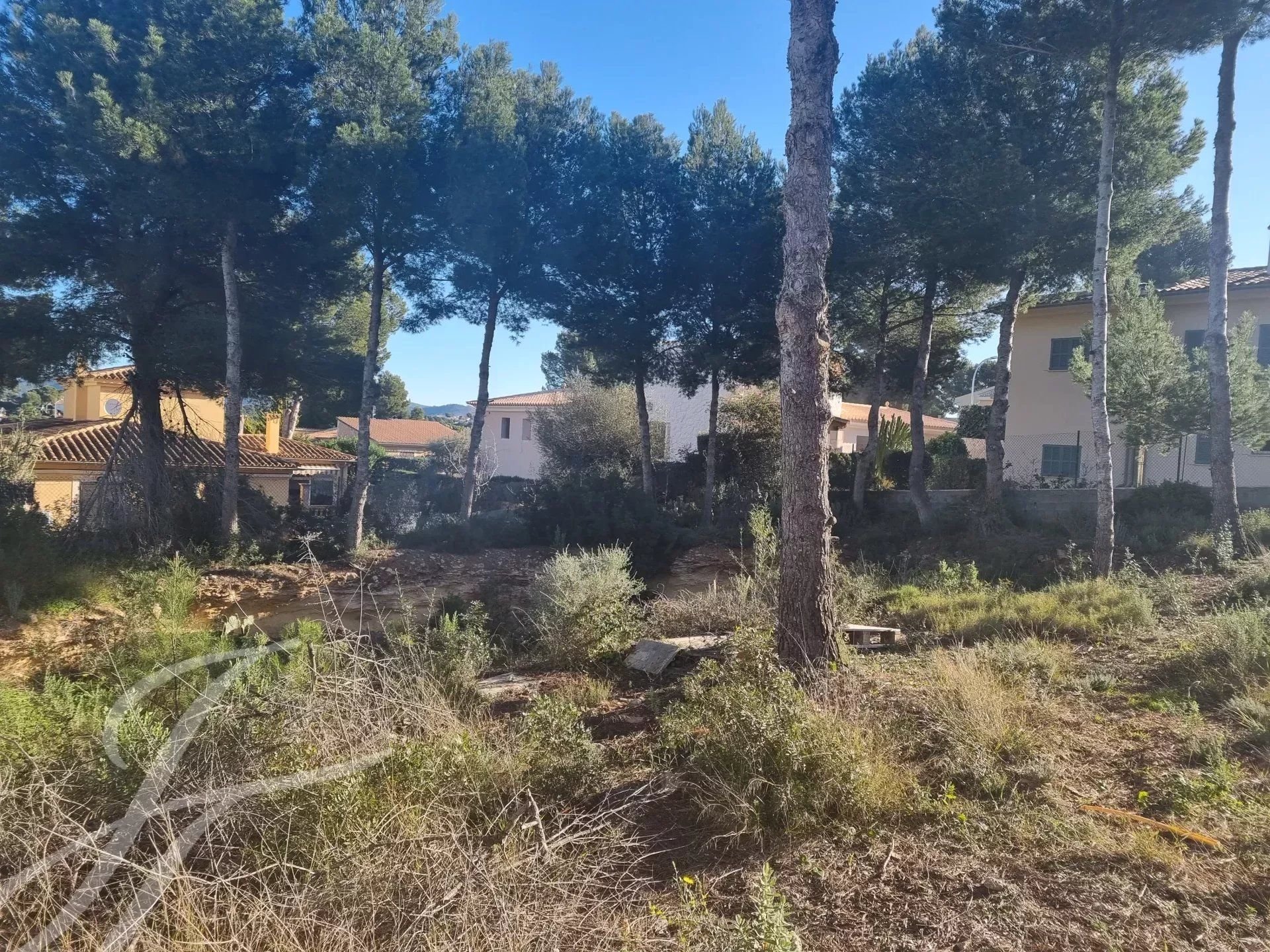 Grundstück zum Kauf provisionsfrei 969.000 € 910 m²<br/>Grundstück Santa Ponsa 07180