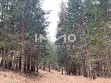 Land-/Forstwirtschaft zum Kauf 159.000 € St.Anton an der Jessnitz 3283