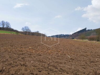 Landwirtschaftliche Fläche zum Kauf 75.000 € 17.134 m² Grundstück (Alt-) Siegen - Kernband Siegen 57072