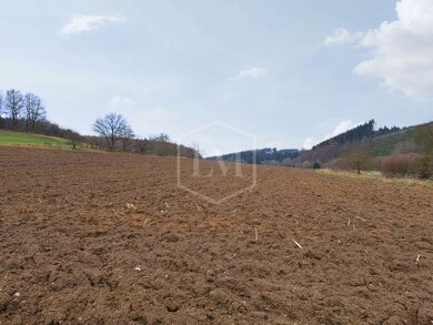 Landwirtschaftliche Fläche zum Kauf 75.000 € 17.134 m² Grundstück Siegen Siegen 57072