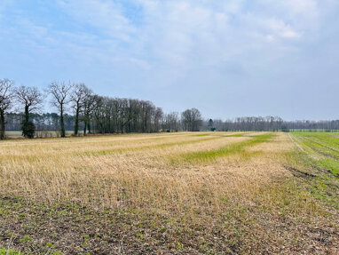 Land-/Forstwirtschaft zum Kauf 20.800 m² Grundstück Gescher Gescher 48712