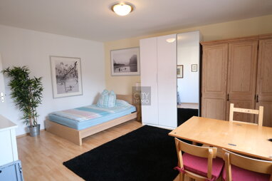 Wohnung zur Miete 430 € 1 Zimmer 33 m² 3. Geschoss Sandberg Nürnberg 90419