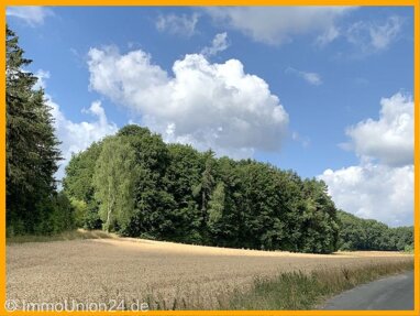 Forstwirtschaft zum Kauf 39.000 € 12.761 m² Grundstück Ottenhof Plech 91287