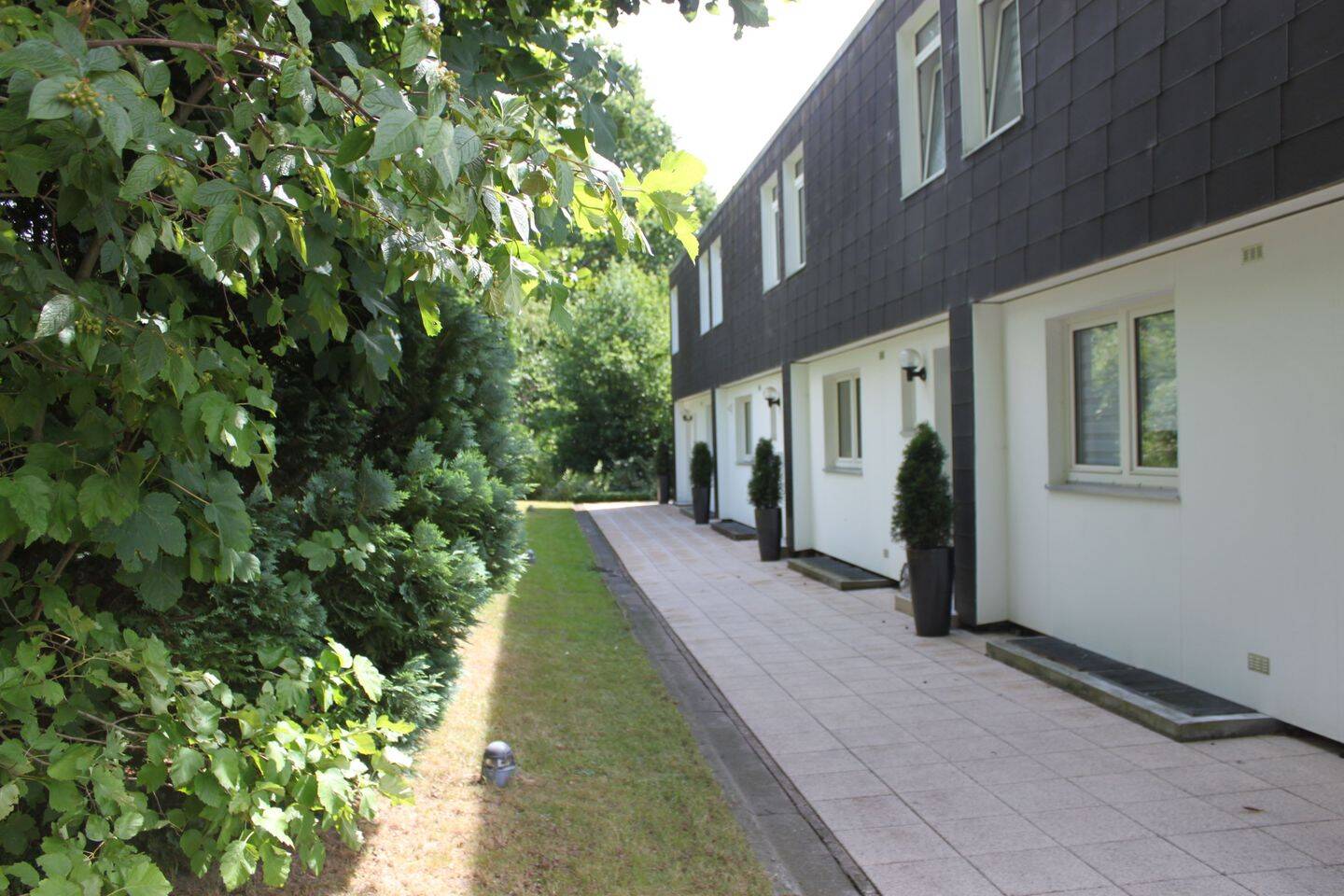 Wohnung zur Miete