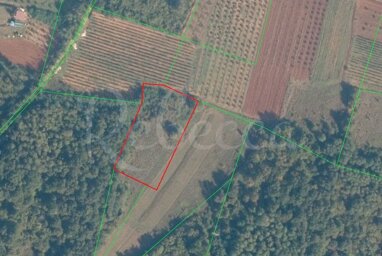 Land-/Forstwirtschaft zum Kauf 40.000 € Mugeba 52440