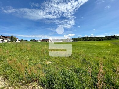 Grundstück zum Kauf provisionsfrei 503 m² Grundstück Taubing Untergriesbach 94107