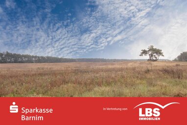Land-/Forstwirtschaft zum Kauf Provisionsfrei 376.000 € 314.068 m² Grundstück Finowfurt Schorfheide 16244