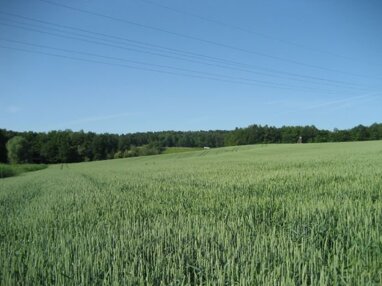 Landwirtschaftliche Fläche zum Kauf Gondorf Kobern-Gondorf 56330
