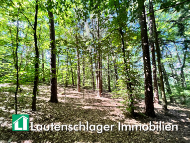 Land-/Forstwirtschaft zum Kauf 44.000 € 9.070 m² Grundstück Neumarkt Neumarkt in der Oberpfalz / Fuchsberg 92318