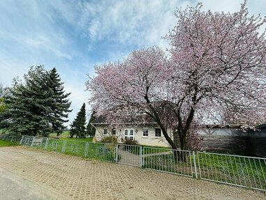 Einfamilienhaus zum Kauf 299.000 € 5 Zimmer 200 m² 1.949 m² Grundstück Netzow Plattenburg 19339