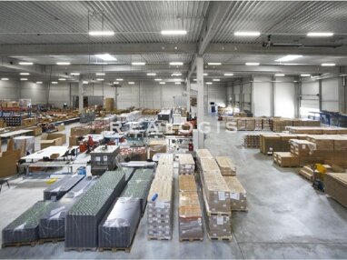 Halle/Industriefläche zur Miete Provisionsfrei 21.600 m² Lagerfläche Bad Oldesloe 23843